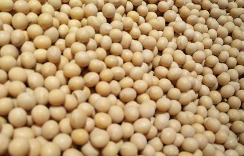 《豆漿粉質量通則》國家標準發布