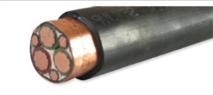 BPYJVPP2 3*25+3*4變頻電纜