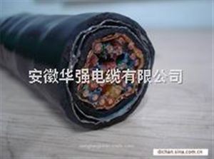 DJYVP2计算机电缆