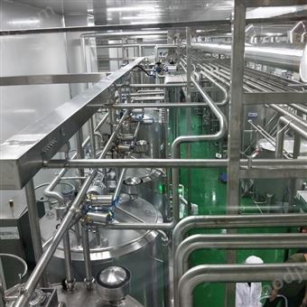 菠萝果汁生产线