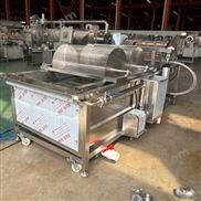 多功能氣泡清洗機(jī) 商用果蔬洗果機(jī) 穩(wěn)定可靠