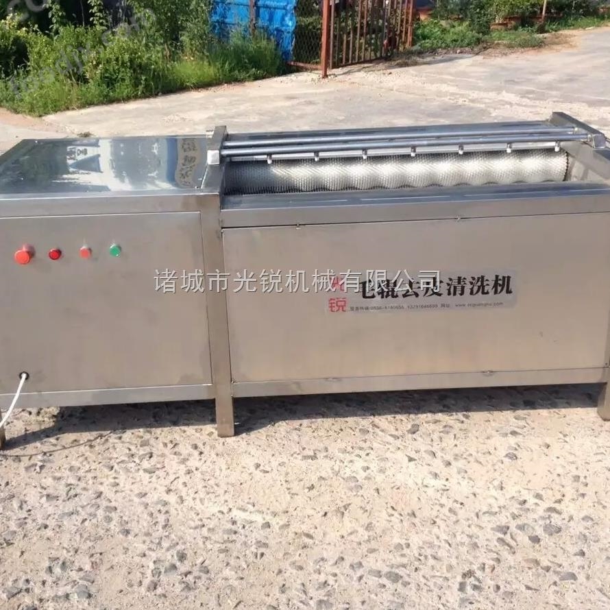 扇貝清洗機用途