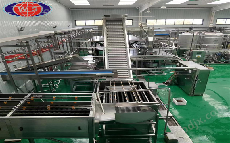 1679908076129775.png 菠萝果汁生产线