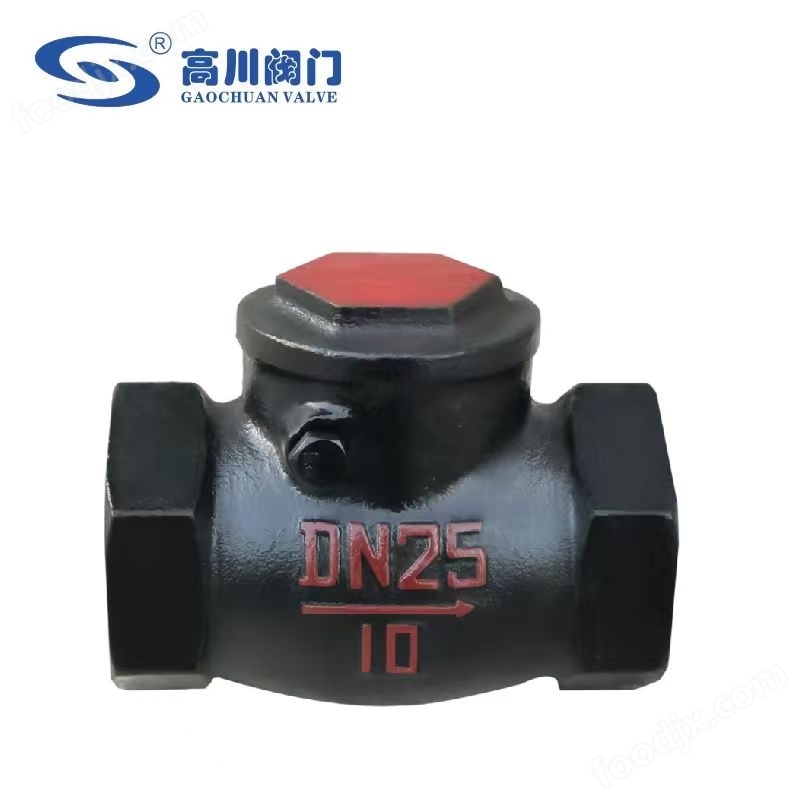 H14T 鑄鐵內螺紋旋啟式止回閥