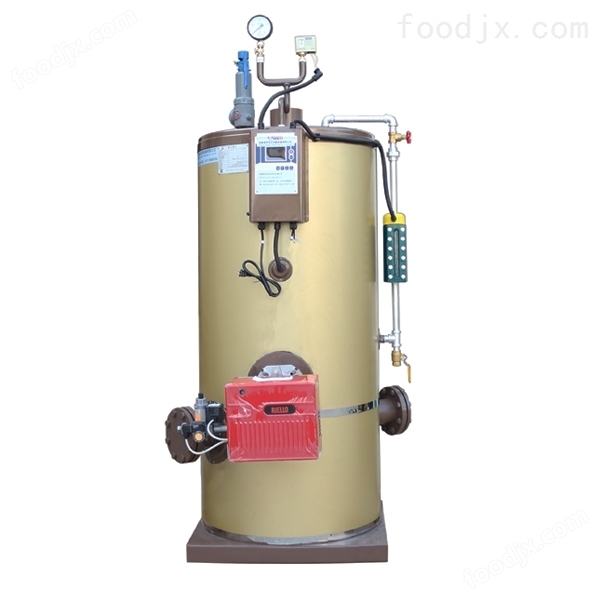 燃氣蒸汽發生器