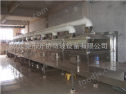 肇慶微波烘焙機(jī)
